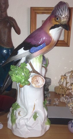 Meissen Porcelain Figurine of a Bird from around 1900