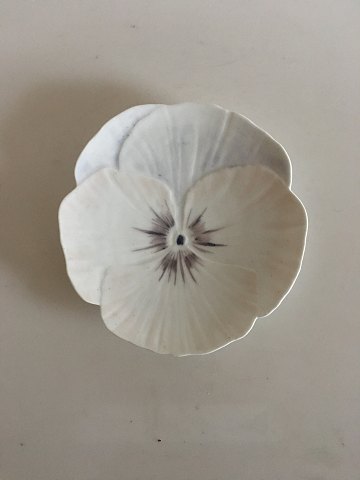 Royal Copenhagen Art Nouveau Flower Plate - Pansy from 1890-1900