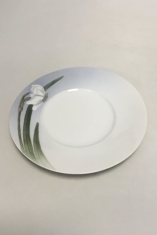 Royal Copenhagen Art Nouveau Salad Plate with Narcissus No 81/10521