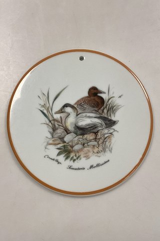 Mads Stage Trivit - Common Eider
